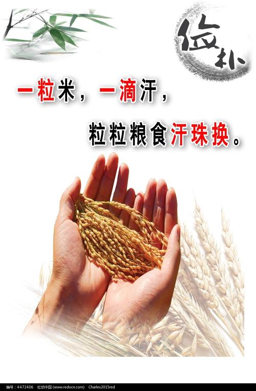 留尼汪大学Computer Science Diploma